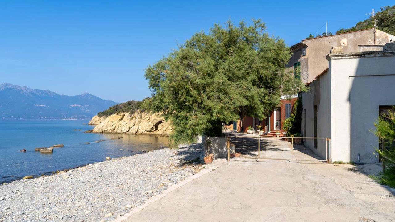 Casa La Nave Enfola - Argonautivacanze Portoferraio Exteriör bild